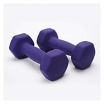 Shengluu Weights Dumbbells Sets Women Cast Iron Hex Dumbbell Exercise Weights For Core And Strength Training (Color : Purple, Size : 3kg*2)