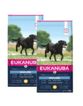 Eukanuba Thriving Mature Large Breed, siipikarjaa, 30 kg