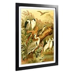 Big Box Art Framed Print of Vintage Beckman. Ludwig Herons Design | Wall Art Picture | Home Decor for Kitchen, Living, Dining Room, Bedroom, Hallway, Office, Black, A2 / 24.5x18 Inch / 62x45cm