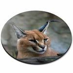 Round Mouse Mat - Caracal African Lynx Cat Office Gift #3171