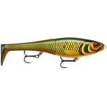 Rapala X-Rap Peto 14 cm Scaled Roach (SCRR)