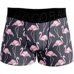 Boxers Twinday  Boxer Homme Microfibre FLAMINGO Noir Rose