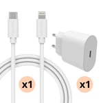 Smartline iPhone 11 Kit för optimal laddning med 2m kabel, vit