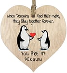 You Are My Penguin Anniversary Hanging Wooden Heart Sign Plaque - Cute Valentines Birthday for Girlfriend Wife Light Wood Hearts Sign, Sweet Romantic I Love You Gifts for Her Him