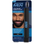 Just For Men 1-Day Beard and Brow Colour Brush For Instant 1-Step Grey Coverage 