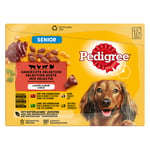 Pedigree Senior tuorepussilajitelma -märkäruoka koirille - 96 x 100 g