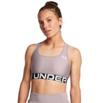 Under Armour Women's HeatGear® Armour Mid Branded Sports Bra Tetra Gray, XL