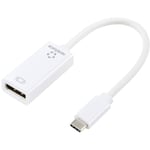 Usb-c®, DisplayPort Adaptateur [1x usb-c® mâle - 1x DisplayPort femelle] 0.15 m - Renkforce