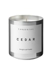 Cedar Bougie Parfumée Doftljus