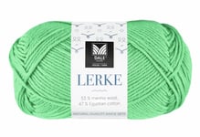 Dale Garn Lerke Eplemint 8174  50g