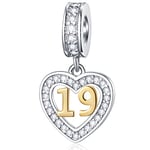 19 Years Old Birthday Charms fit Pandora Valentines Bracelet, Golden Number 19 Dangle Beads, 925 Sterling Silver 19th Anniversary Heart Necklace Pendant with CZ, Gifts for Family/Friend