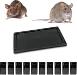 Piege a Souris Piege a Rat Colle,Plaques de Glue Anti Rongeur,Alternative Tapette Raticide Souricide [Glu Extra Forte Aromatisee] (10 Plaques Collantes).[W132]