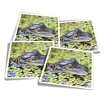 4x Square Stickers 10 cm - Baby Alligator Swamp Wild  #2324