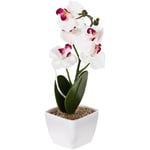 Konstgjord Orkidé Konstgjord Blomma Sushi Tallrik Dekoration Sashimi Tallrik Ornament Bord Mittstycke Sush White 7.5x7.5x27cm