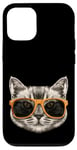 iPhone 13 Pro Funny Cats Rule The World, Cool Cat Wearing a Sunglasses Case