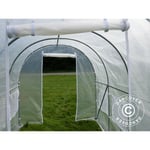 Dancover - Serre Tunnel 2x3x2m, 6m², Transparent - Transparent