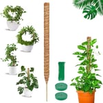 COZCLAM Tuteur Plante Grimpante, 1 x 160cm Tuteur Monstera, Support de Plante Tuteur Coco, Pliable Tuteur Sphaigne Pour Plantes Grimpantes Qui Poussent Vers Le Haut, Maison Jardin de Support de Plante