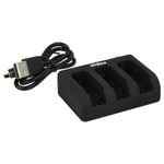 Chargeur USB triple pour GoPro HD Hero 3 III Silver Edition 4,2V 75,5