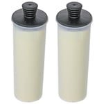 Spares2go Descaling Filter Cartridge compatible with Karcher SC3 SC3MX Easyfix Steam Cleaner (Pack of 2)