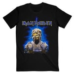 Iron Maiden Unisex Adult Powerslave Mummy T-Shirt - L