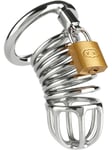 Mr Steel: Ring Master Chastity Device