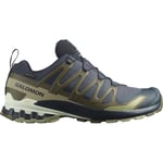 Salomon Mens XA Pro 3D V9 GTX (Grön (INDIA INK/OLIVE NIGHT/ALOE W) 46)