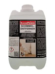 Chlorfreier Anti-moisissure 5 Litre CleanPrince Intérieur Nettoyant Mur