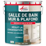 Peinture salle de bain mur plafond condensation Vert jonc RAL 6013 2.5 L