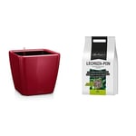 Lechuza – Pot de Fleurs d'Interieur – Premium Quadro Ls – Réserve d'eau Intégrée – Coloris Rouge Scarlet – 50 x 50 x 47 cm + Pon – Terreau Mineral Neutre – Contient de l'engrais – 18 litres