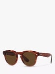 Oliver Peoples OV5473SU Unisex Nino Polarised Oval Sunglasses, Dark Amber Smoke/Brown