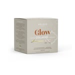 Wellexir - Glow Coffee Creamer Vanilla 30 Sachet Box