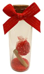 Valentines Day Gift Rose & Love Commitment Message Scroll in a Bottle Keepsake