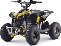 1Dea.Me Förbränningsmotor Quad Renegade Hiperfect 110Cc Gul