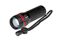 POLY POOL - PP3153 Lampe Torche LED Portable 10 W ALUMINI - Mini Lampe Torche LED 3 Luminosité - Lampe de Secours ou de Travail de Poche Portée 50 m avec Focus Réglable - Lampe à Batterie avec Cordon