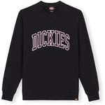 Sweat-shirt Dickies  Aitkin Sweatshirt - Black