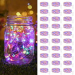 Guirlande Lumineuse à Piles [Lot de 30] Multicolore , 2m 20LED Mini Guirlande LED, Étanche Guirlandes Lumineuses en Cuivre pour Décoration Anniversaire Bouteille Mariage Fête Noël Chambre Jardin