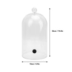 Cocktail Smoker Dome Acrylic Rubber Decorative Smoking Cloche For Home