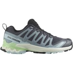 SALOMON Xa Pro 3d V9 W - Gris / Bleu Vert taille 38 2/3 2025