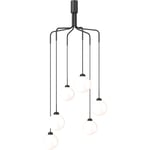 Apiales Cluster 6 Chandelier, Satin Black / Opal