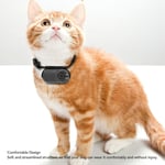 Dog Camera Collar For Video And Photo 170° Ultra Clear Wide Angle Lens HD 1 Part