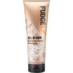 Fudge Hiustenhoito Shampoos All Blonde Colour Lock Shampoo 250 ml (50,64 € / 1 l)