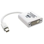 Tripp Lite Mini Displayport to DVI Adapter Active Mini-DP to DVI M/F, 15.24 cm (P137-06N-DVI-V2)