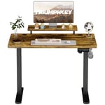 TRIUMPHKEY Bureau Assis Debout 120×60cm Bureau Hauteur Réglable Electrique,Marron Bureau Ordinateur,Standing Desk,Table Assis Debout Idéal pour l'apprentissage au Bureau et Les Jeux