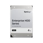 SYNOLOGY Disque dur SATA 4 To HAT5300-4T