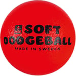 Dodgeball SportMe