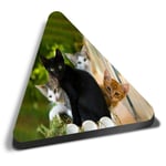 Triangle MDF Magnets - Cute Kittens Black Tabby Ginger Cat #24573