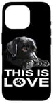 Coque pour iPhone 16 Pro This Is Love Black Lab Puppy