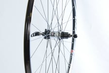 29er (622 x 20 ) DT SWISS XR 1501 SPLINE1 MTB REAR WHEEL XD HUB DRIVE QUICK RELEASE REALLY LOW PRICE