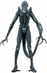 NECA 7" Alien Action Figures Series 2 Xenomorph Blue Warrior Action Figure