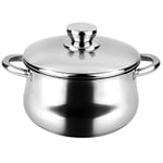 Fagor Silverinox Pot à induction 20 cm, 4 litres en acier inoxydable 18/10, couvercle avec fond diffuseur triple couche, adapté pour toutes les cuisines, vitrocéramique, gaz, four, lave-vaisselle